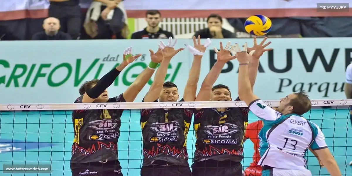 华体会体育——🚣♀️🐬 八人艇齐进,海豚护航!